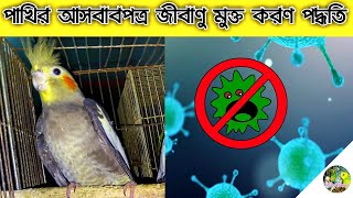 How to germs free from birds water/ seed mix pot পাখির খাবার পাত্র ও পানির পাত্র জীবানুমুক্ত করন