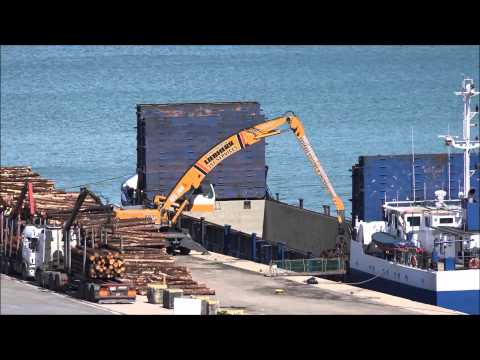 Eating wood Rosslare harbour