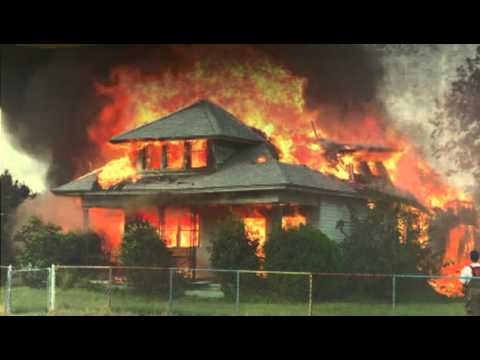 The Amazing Adventures of Captain Pickles