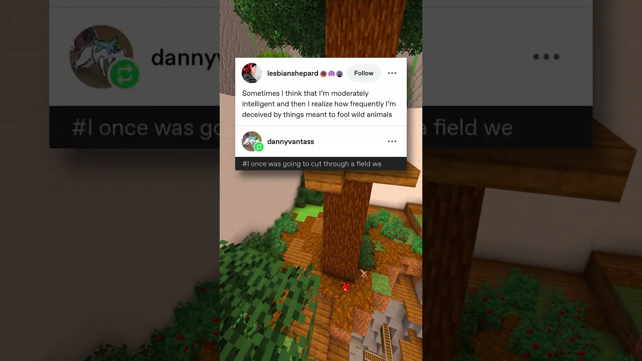 이거 미친짓이에요😂😭