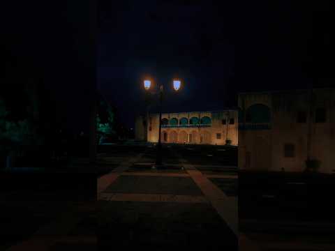 Suicide Year (Slowed Reverb) | No Lyrics Only Vibes | WhatsApp Status | #suicideyear #vibes #edit