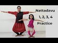 Bharatanatyam Basics: Episode 16: Nattadavu 1, 2, 3, 4 Practice