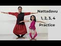 Bharatanatyam Basics Episode 16 Nattadavu 1 2 3 4 Practice