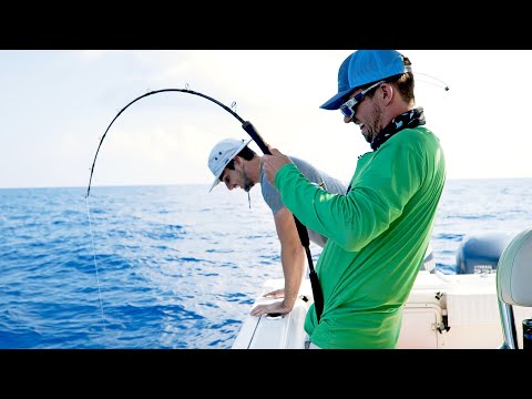 ¡¡¡Estos peces son IMPOSIBLES de atrapar!!!