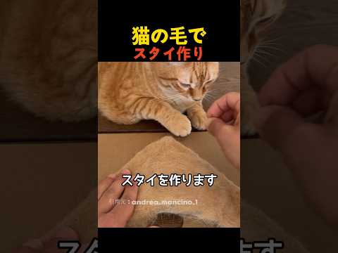 猫の毛でスタイ作り