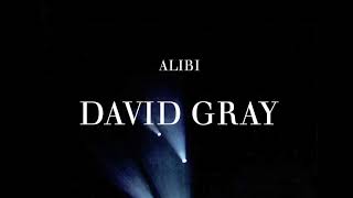 David Gray - Alibi - Live from Hammersmith Apollo (Official Audio)