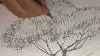 Architectural sketch tutorial