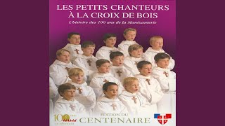 Trois beaux oiseaux du paradis