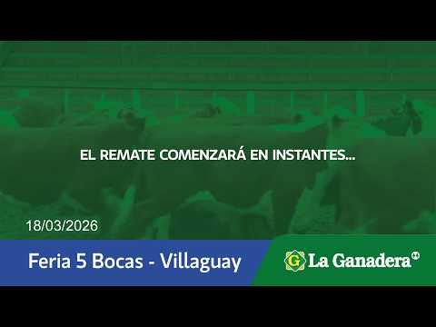 Remate de Hacienda Coop. LA GANADERA -  Gral. Ramírez -  Miércoles 18 de Febrero de 2026.