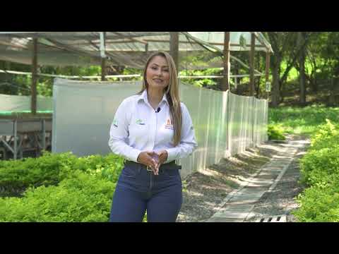 Camino al Suroeste - 28 de octubre de 2024