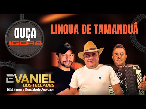 Lingua de Tamanduá-Evaniel dos Teclados
