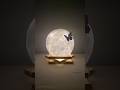 Moon Lamp DIY Shorts Gift Decoration Handmade Best Craft Art Ideas Trending Roomdecor