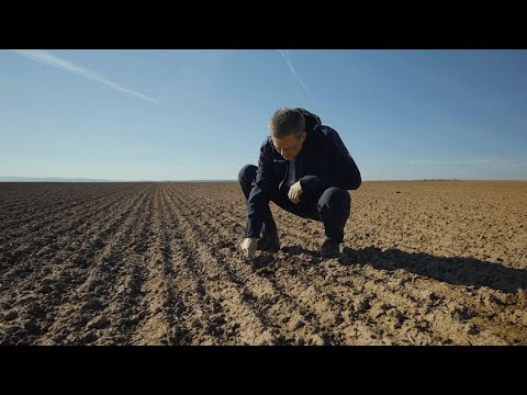 Wir leben Getreide Feld-Reporter | SW | Ralf Becker: Herbstbehandlungen im Getreide