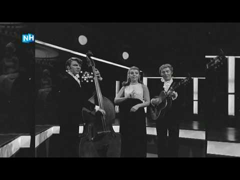 Helen Shepherd: A star without allure