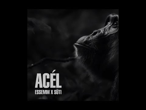 Essemm x Süti: Majmok Bolygója - ACÉL (Official Audio)