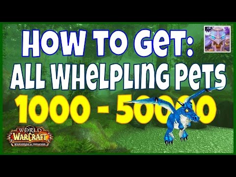 WoW Gold Farming: How to make 1000 - 50000 Gold Farming Whelplings in WoW 6.2 WoD