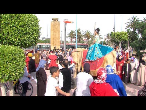 الدار البيضاء .. ترامواي العاصمة الاقتصادية في موكب احتفالي