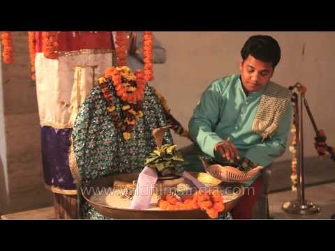 download lagu mp3 mp4 How To Offer Bilva Leaves To Lord Shiva, download lagu How To Offer Bilva Leaves To Lord Shiva gratis, unduh video klip How To Offer Bilva Leaves To Lord Shiva