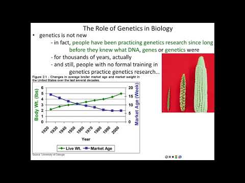 Lecture 1 - Introduction to Genetics