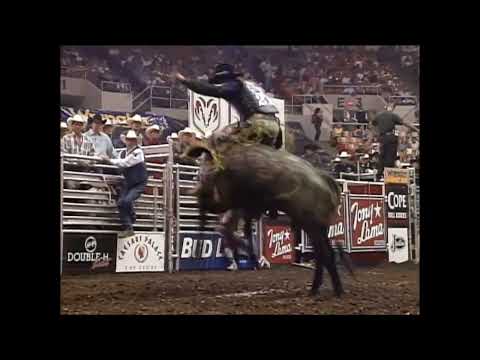 Blueberry Wine bucks Corey Navarre - 00 PBR Nashville
