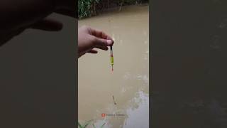 Download lagu Cara Pasang Umpan cacing yang benar #mancing mp3