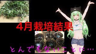 4月の農業動画結果