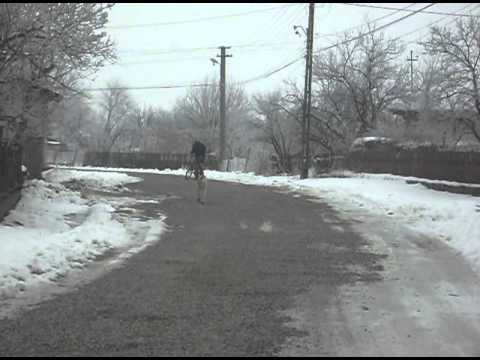 Un betiv la ora 10am in Tamaia,Maramures