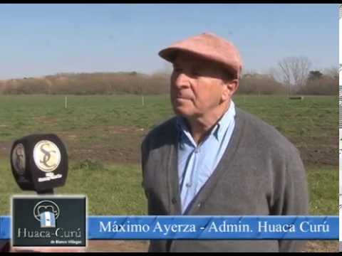 MAXIMO AYERZA - REMATE HUACA CURU - 10-09-2016 - EST. AZUCENA - TANDIL, BS.AS.
