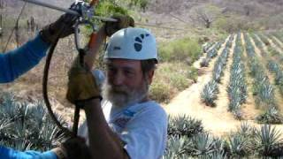 preview picture of video 'Craig coming in over the blue agave'