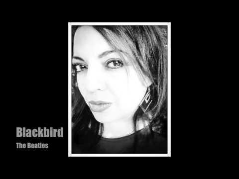 Blackbird  Sarah Eddy