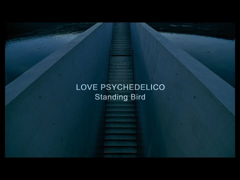 LOVE PSYCHEDELICO - Standing Bird (Official Video)