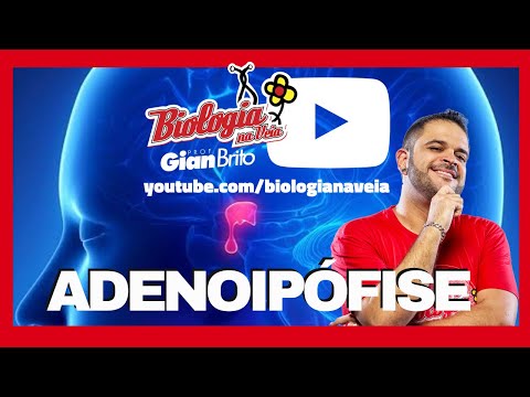 ADENOIPÓFISE