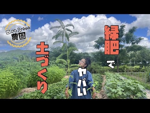 秋に蒔く緑肥は何ですか？当店TOP3をお届けします！  庭園