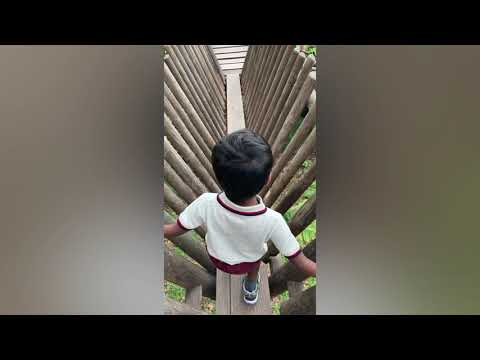 Tenerife | Jungle park Tenerife | Playa de las vistas beach