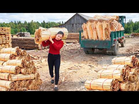 Timelapse Massive Harvest Transport | Truck Hauls Thousands of Dry Peeled Boards to Market
