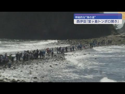 YouTube Video 堂ヶ島瀬浜海岸から三四郎島まで干潮時にのみに現れる不思議な道「トンボロ開き」静岡・西伊豆町