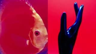 Miki Berenyi Trio – Doldrum Days