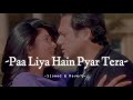Paa Liya Hain Pyar Tera Slowed Reverb Alka Yagnik Udit Narayan