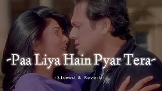 Download lagu Paa Liya Hain Pyar Tera - Slowed & Reverb - Alka Yagnik / Udit Narayan mp3 Download lagu Paa Liya Hain Pyar Tera - Slowed & Reverb - Alka Yagnik / Udit Narayan mp3