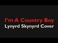 I'm A Country Boy - Lynyrd Skynyrd Cover 
