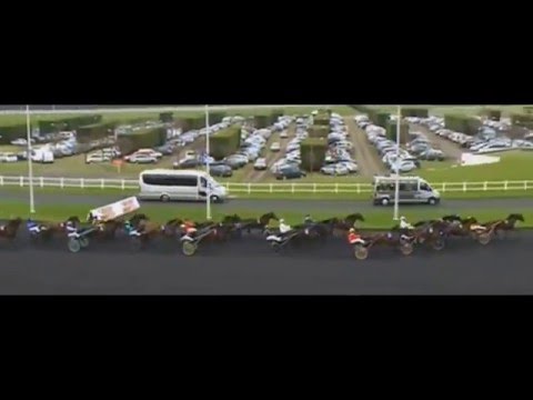 Prix de Belgique 2016_Bold Eagle_Franck Nivard