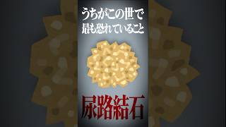 【恐怖】私が人生で最も恐れている事「尿路結石」#vtuber #にじさんじ #shorts #家庭の医学