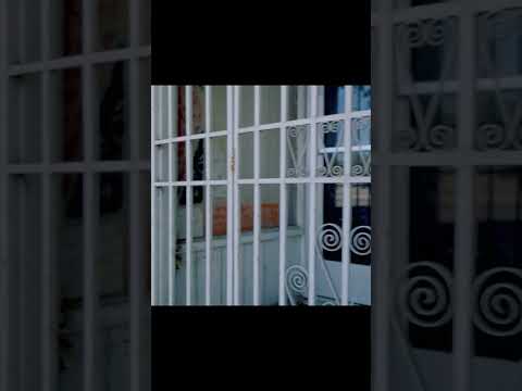 Ice grillz & mean mugs: hot new hip hop vibes #hiphoprap