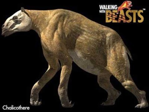 TRILOGY OF LIFE - Walking with Beasts - Generic Chalicothere
