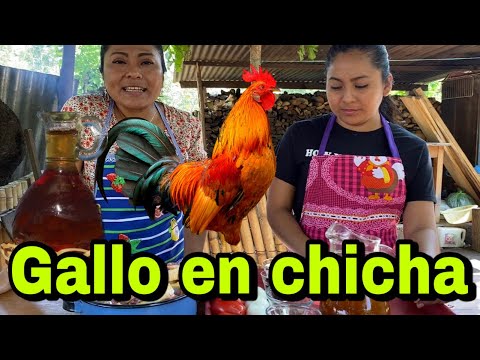 Gallo en chicha/Preparando una nueva receta