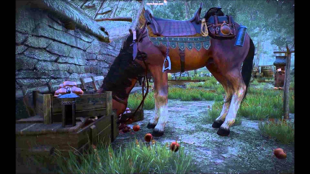 Witcher 3 - Roach eating apples - YouTube