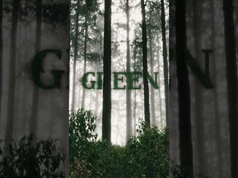 MYSTIC GREEN FOREST | RELAXING ADVENTURE & NATURE VIBES 🌲✨ #travelshorts #nature#stats
