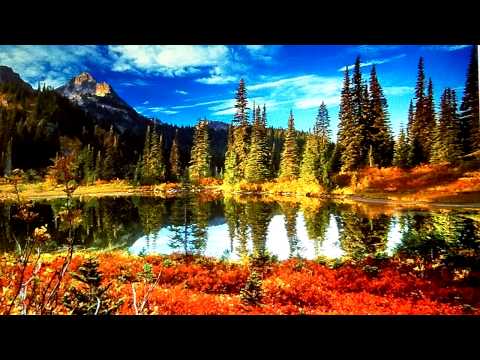 Si totusi vine toamna - Adrian Păunescu