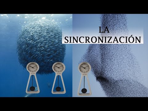 LA SINCRONIZACIÓN EN LA VIDA