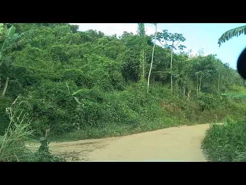 Continua os vídeos anteriores passando pelo sitio indo pra jaqueira Machados Pernambuco 